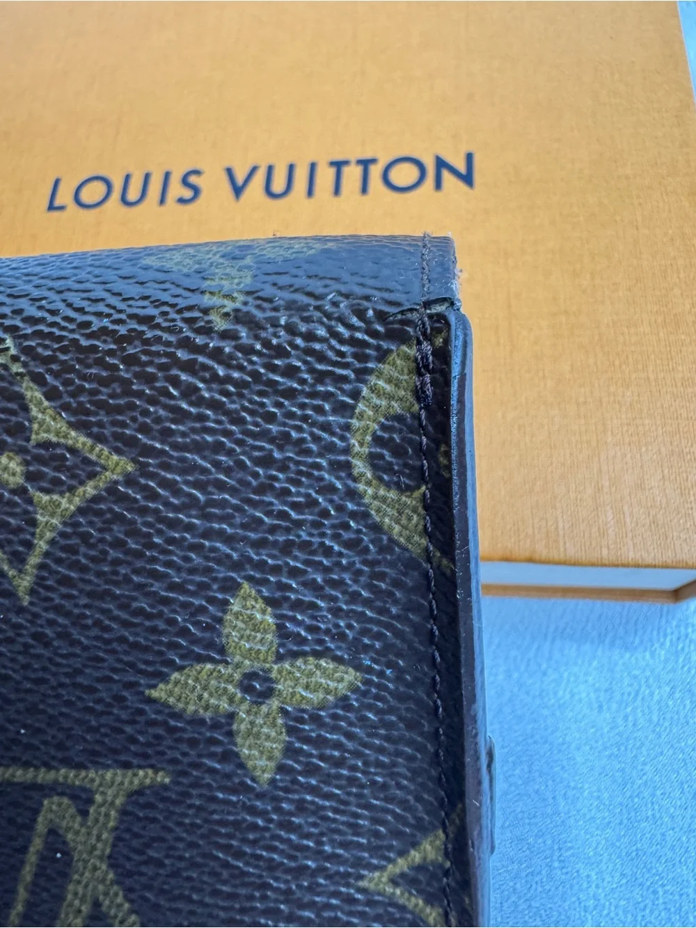 Louis Vuitton LV Monogram Eyewear Pouch